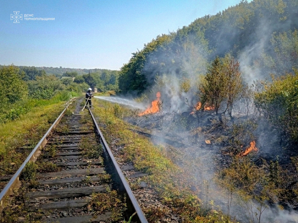 Горіли приватний будинок, трава та сміття: пожежі на Тернопільщині (ФОТО)