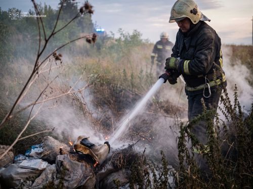 7 пожеж за добу: за суботу рятувальники Тернопільщини врятували будинок та ліквідували загоряння сухої трави (фото)
