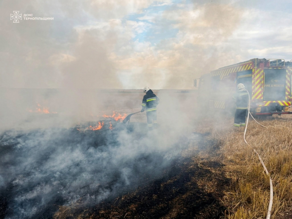 За добу на Тернопільщині трапилося 8 пожеж: горіли поля, трава та будинки (фото)