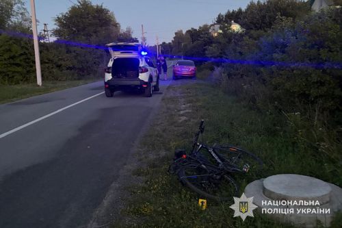 На Борщівщині п'яний водій легківки наїхав на велосипедиста (фото)