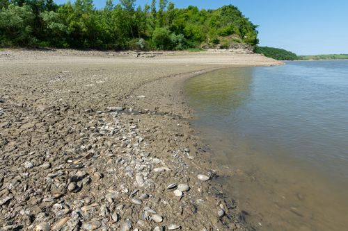 На Дністровському водосховищі, що межує з Тернопільщиною, зафіксували історичний антирекорд