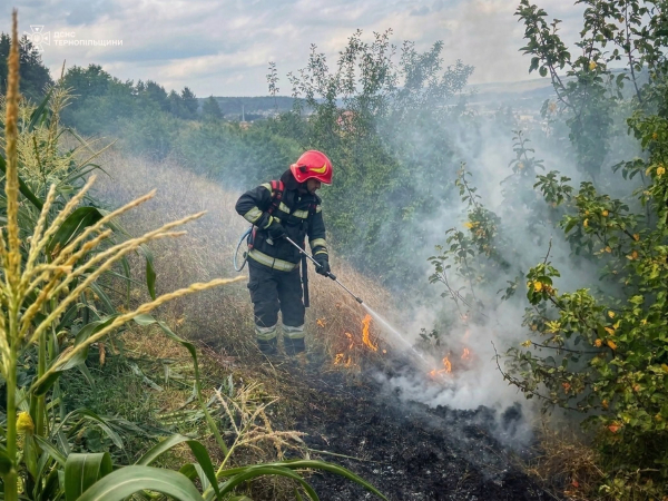 За добу на Тернопільщині трапилося 8 пожеж: горіли поля, трава та будинки (фото)