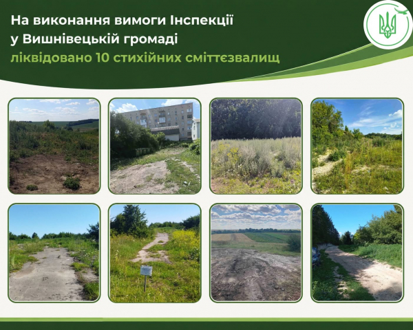 У Вишнівецькій громаді виявили 12 стихійних сміттєзвалищ: яка екологічна ситуація