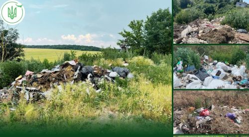 Ліквідували лише 8 із 22 сміттєзвалищ: шкоду довкіллю у Микулинецькій громаді оцінили у понад мільйон гривень