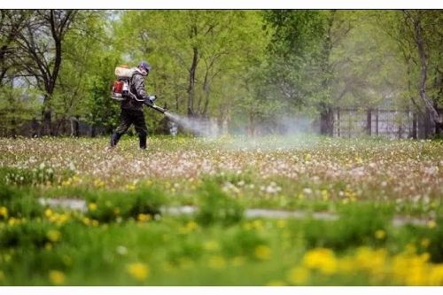 Парк у Тернополі оброблятимуть від кліщів: жителів просять утриматися від прогулянок