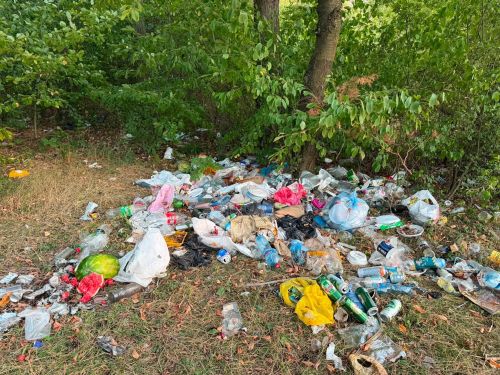 Знову сміття після відпочинку: на Борщівщині берег озера перетворили на звалище (фото)
