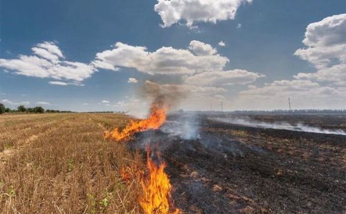 За підпал стерні на Тернопільщині можна отримати штраф до 21 тисячі гривень