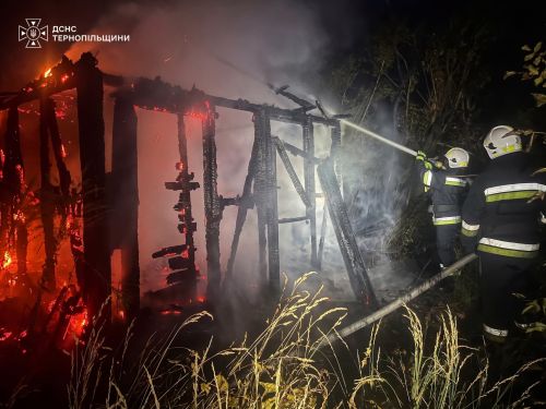 Горіли приватні будинки та сухостій: за добу рятувальники Тернопільщини ліквідували 9 пожеж (фото)