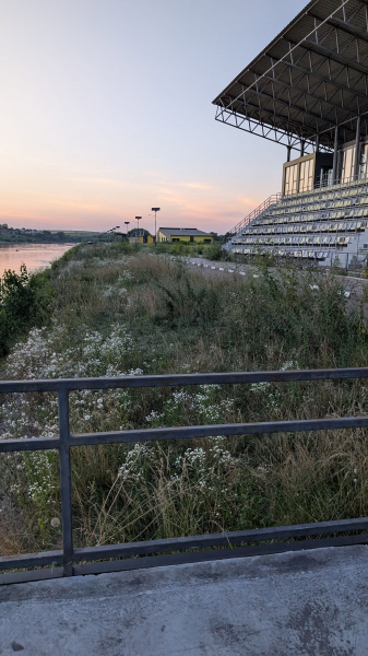 Метрові бур'яни ростуть поміж бруківкою: містяни показали, як зараз виглядає "Водна арена Тернопіль" (фото)