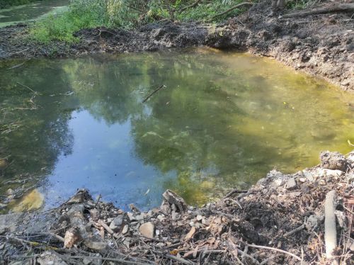 Жодних дозволів на проведення робіт в урочищі річки Золота Липа на Тернопільщині ніхто не видавав (фото)