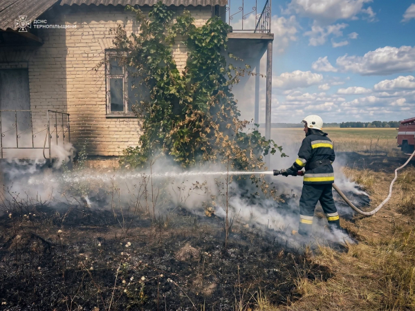 Масштабна пожежа у Колодіївці: вдалося врятувати ліс (ФОТО)