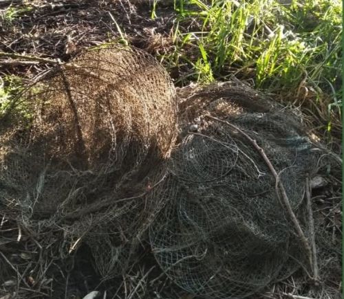 Із п’ятьма забороненими знаряддями лову: чоловіка викрили у Збручанському заказнику на Тернопільщині