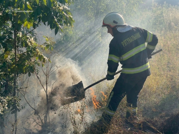 Вогонь охопив суху траву та пожнивні залишки: на Тернопільщині 10 пожеж за добу (фото)