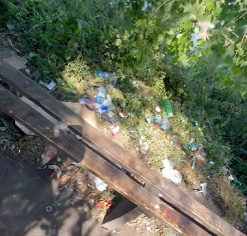 «Свинячимо, де попало»: у Козові люди скаржаться на засмічений парк (відео)