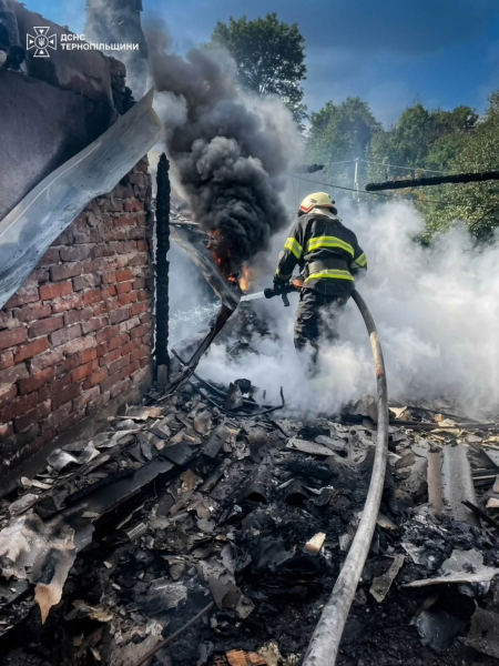 Десять пожеж за добу на Тернопільщині: під загрозою були будинки та 10 гектарів соняшнику (фото)