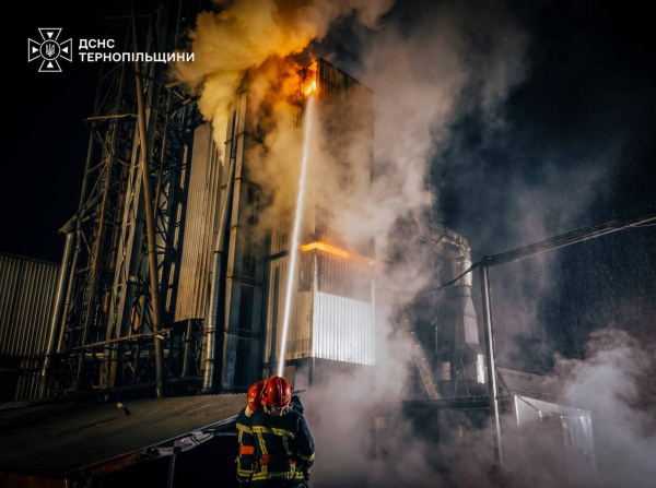 Зерносушарка спалахнула в Микулинецькій громаді: вогонь охопив 150 квадратних метрів (фото)