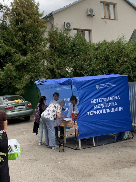 Після появи лисиці в Тернополі від сказу вакцинували 55 котів і собак (фото)