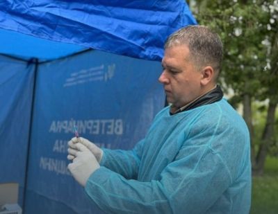 На Дружбі в Тернополі помітили лисицю: проводитимуть безкоштовну вакцинацію від сказу