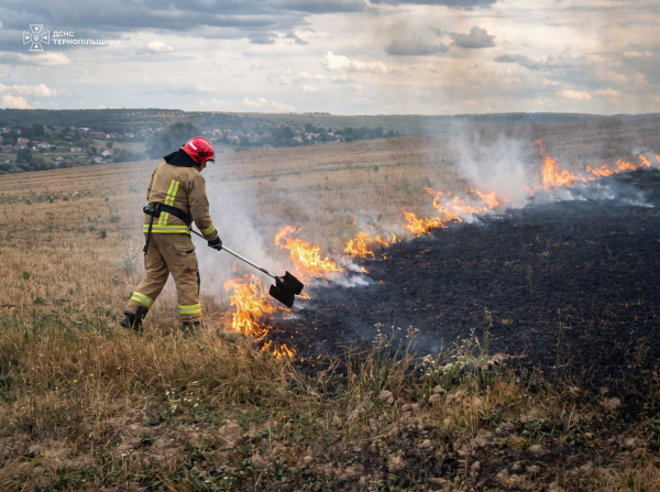 За добу вогонь охопив шість ділянок на Тернопільщині (фото)