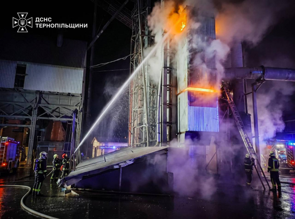 Зерносушарка спалахнула в Микулинецькій громаді: вогонь охопив 150 квадратних метрів (фото)