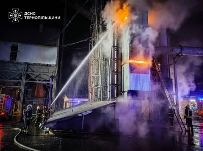 Зерносушарка спалахнула в Микулинецькій громаді: вогонь охопив 150 квадратних метрів (фото)