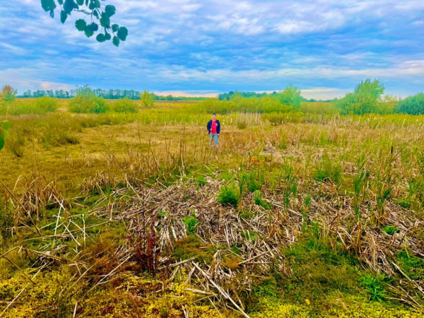 На Шумщині повністю висохли декілька великих озер (фото, відео)