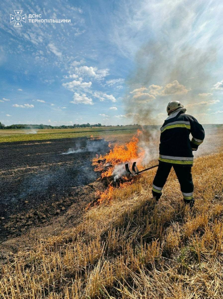 За добу на Тернопільщині загасили 14 пожеж: більшість спалахнула просто неба (фото)