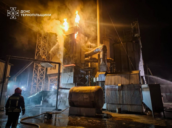 Зерносушарка спалахнула в Микулинецькій громаді: вогонь охопив 150 квадратних метрів (фото)