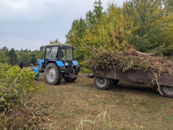 Замкову гору в Теребовлі продовжують готувати до нового фестивалю (фото)