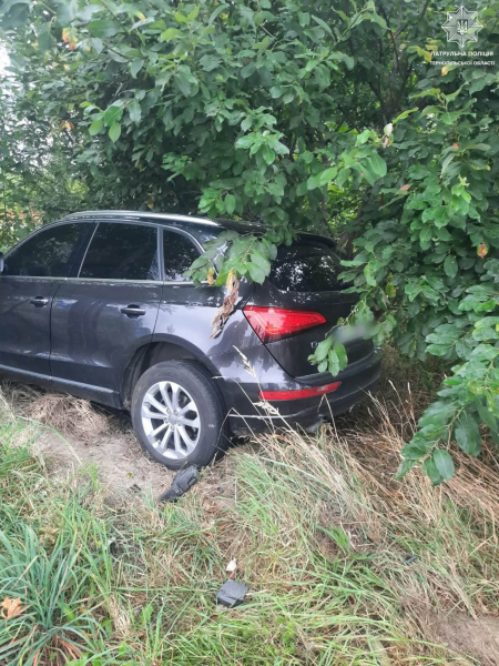 На вулиці Будного водійка Audi знесла металеву огорожу