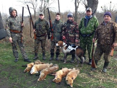 На території Скалатської громади відстрілюватимуть вовків, лисиць, шакалів та бродячих собак