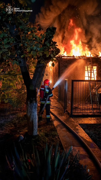 Десять пожеж за добу на Тернопільщині: під загрозою були будинки та 10 гектарів соняшнику (фото)
