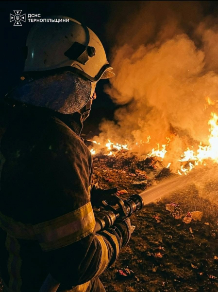 За добу на Тернопільщині загасили 14 пожеж: більшість спалахнула просто неба (фото)