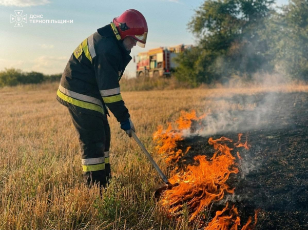 За добу на Тернопільщині загасили 14 пожеж: більшість спалахнула просто неба (фото)