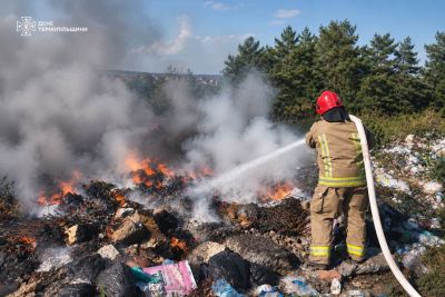 Десять пожеж за добу на Тернопільщині: під загрозою були будинки та 10 гектарів соняшнику (фото)