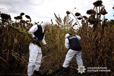 Тонна канабісу та майже 57 тисяч кущів конопель: операція «Джентльмени» охопила й Тернопільщину (фото, відео)
