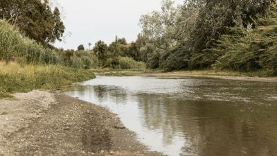 Річки Тернопільщини можуть обміліти: оголосили коричневий рівень небезпеки