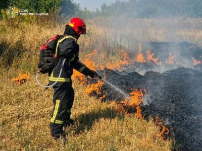 За добу на Тернопільщині загасили 14 пожеж: більшість спалахнула просто неба (фото)