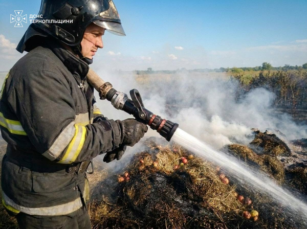 За добу на Тернопільщині загасили 14 пожеж: більшість спалахнула просто неба (фото)