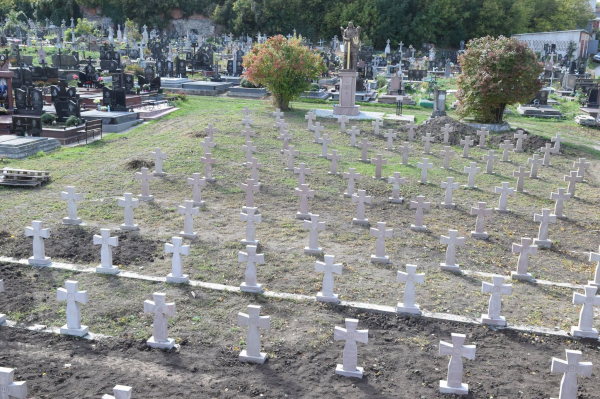 На меморіалі борцям за волю України у Чорткові встановили 90 хрестів (фото)