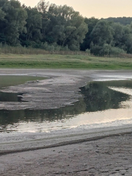 Дністер обмілів: з-під води знову показалася стара дорога до затопленої Бакоти (фото)