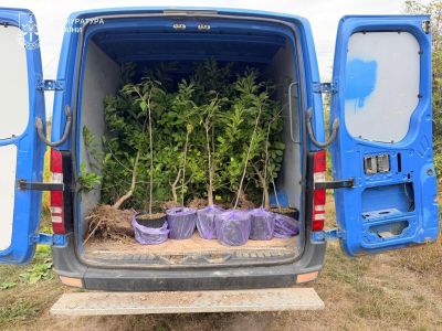 57 тисяч гривень за саджанці «особисто в руки»: на Кременеччині взяли під варту службовця наукової установи (фото)