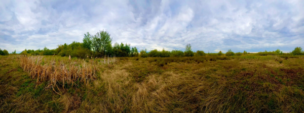 На Шумщині повністю висохли декілька великих озер (фото, відео)
