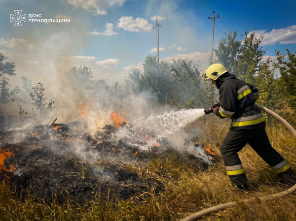За добу на Тернопільщині ліквідували п’ять пожеж (фото)