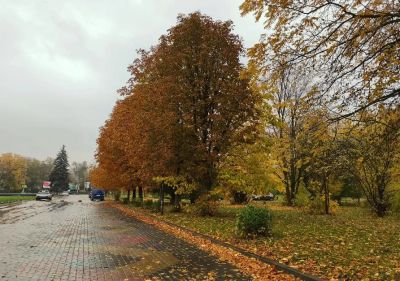 Гідрометцентр розвіяв чутки про сильні морози в Україні: якою буде погода насправді