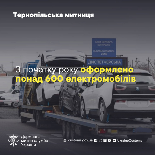 Зміни у розмитненні електромобілів: понад 200 мільйонів протягом року сплатили власники на Тернопільщині