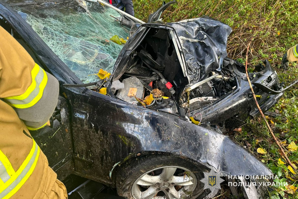 Смертельна ДТП в Озернянській громаді: деталі