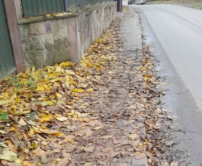 У Збаражі просять прибрати опале листя з тротуарів (фото)
