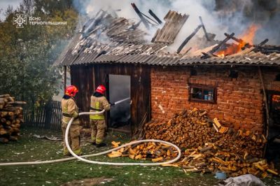 Під час пожежі на Тернопільщині згоріли 30 складометрів дров (фото)