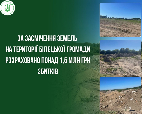 У Білецькій громаді засмітили територію на 1,5 млн грн (фото)